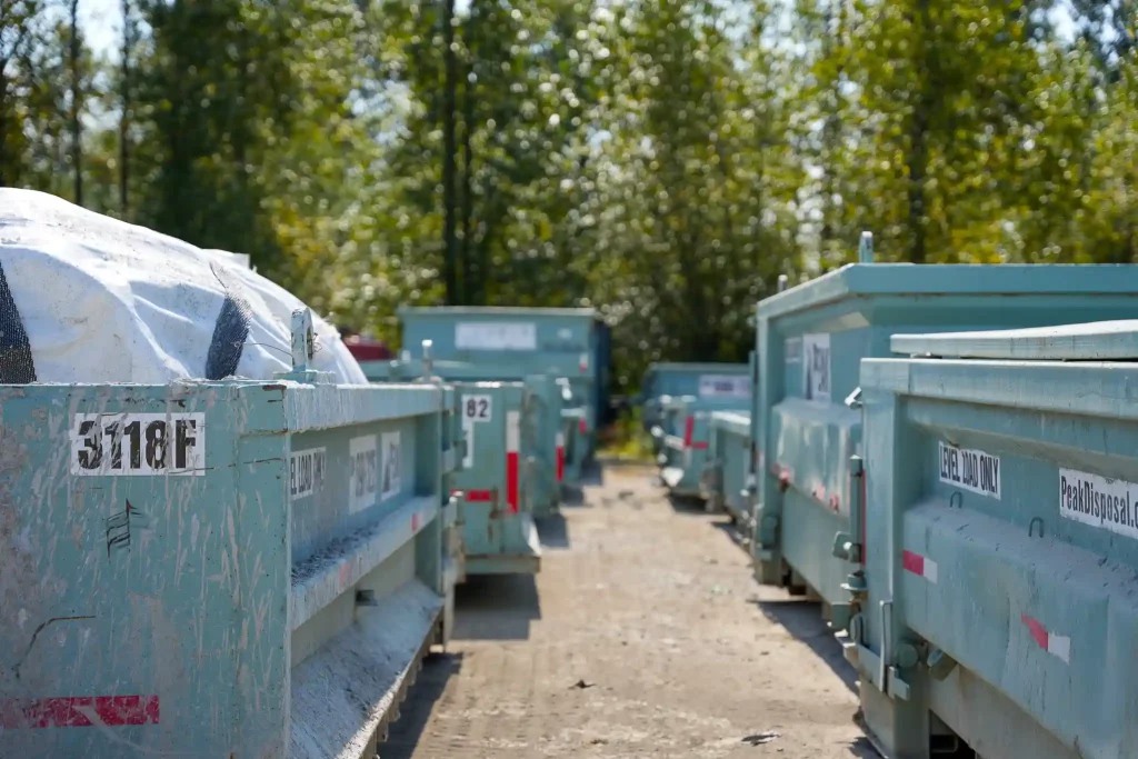 peak disposal bin sizes